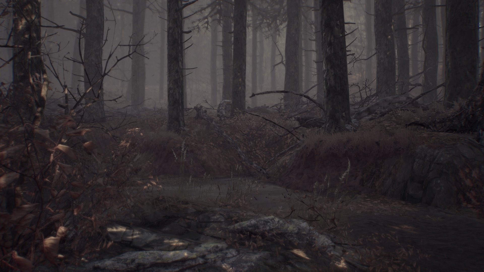 Blair Witch - Imagen 18